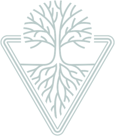 Oraivi — Where Roots Solidify